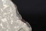 NWA 859 "Taza"