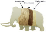 Wooly Mammoth hair