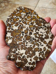 SOLD Imilac Pallasite