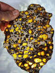 SOLD Imilac Pallasite