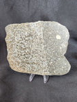 Aba Panu
