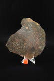 NWA 13758 (Rumuruti)