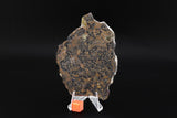 El Eglab 001
