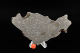 NWA 859 "Taza"