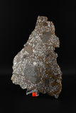 El Eglab 001