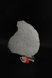 NWA 13758 (Rumuruti)