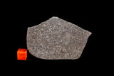 NWA 11900