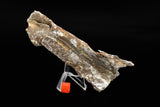 Mars Bluff shrapnel