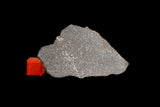 NWA 13790