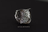Cast of the beautiful Ohio button meteorite. (Wadsworth)