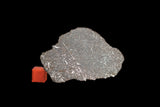 NWA 13790