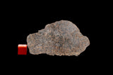 NWA 13790