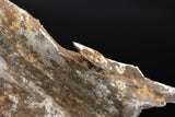Mars Bluff shrapnel