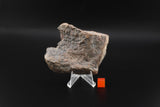 NWA 15662 end cut
