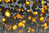 New Pallasite currently under classification