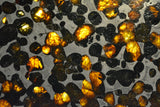 New Pallasite currently under classification