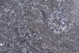 NWA 17295