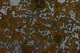 El Eglab 001