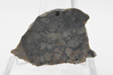 Nagjir 005