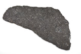 NWA 17295