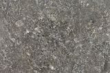 NWA 17295