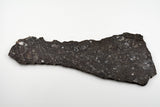 NWA 17295
