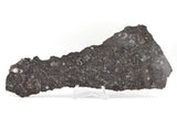 NWA 17295