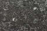 NWA 17295