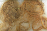 Wooly Mammoth hair