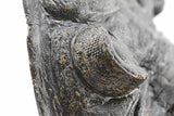 Trilobite (Hollardops)