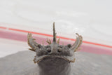 Trilobite (Miraspis)