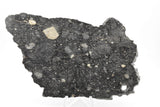NWA 13951