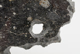 NWA 13951
