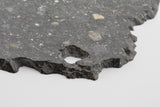 NWA 13951