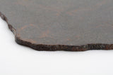 NWA 16170