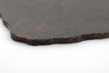 NWA 16170