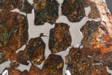 Néma 003