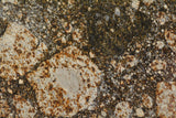 NWA 16497