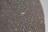 NWA 15662
