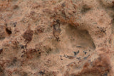 Néma 003