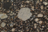 NWA 15662
