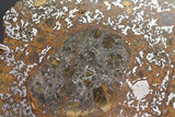 El Eglab 001