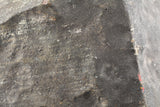 Hammadah al Hamra 346