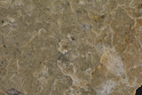 Nagjir 006 (prov.)