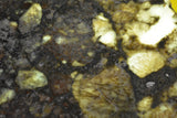 Zli179