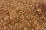 NWA 16803