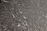 NWA 13790