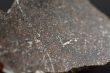 NWA 13790