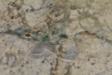 NWA 8687