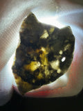 Nagjir 005